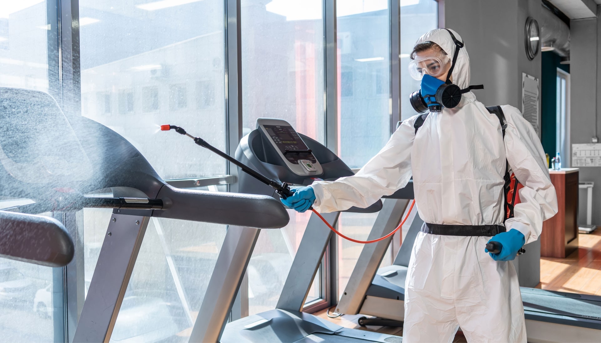 Commercial Mold Removal Services in Glendale