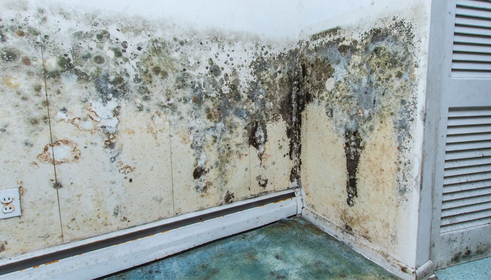 Mold Damage Odor Control Services in Glendale