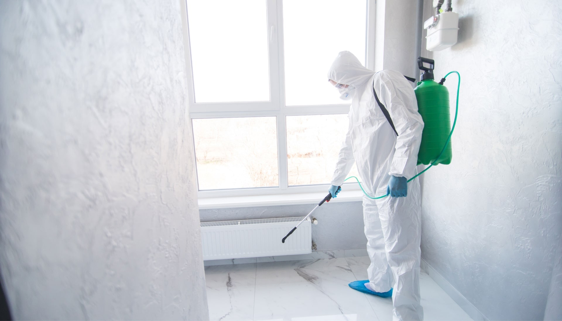 Mold Inspection Services in Glendale